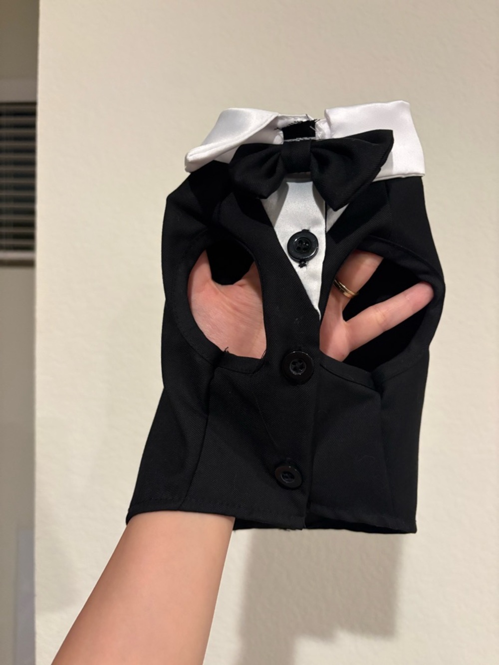 Black & White Tuxedo for dog